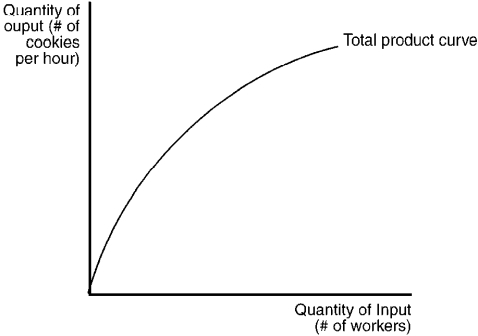 Figure 12-4    -Refer to Figure 12-4. As the number of workers increases, A) total output increases, but at a decreasing rate. B) marginal product increases, but at a decreasing rate. C) marginal product increases at an increasing rate. D) total output decreases.