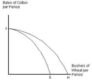 <strong> Assume that U.S.agricultural land is used either to raise cotton for clothing or to grow wheat.Curve FG in Figure 2-8 represents the current production possibilities frontier for cotton and wheat.What could cause the production possibilities frontier to shift from FG to FH?</strong> A) a change in government subsidies that favors wheat production over cotton production B) development of a new fertilizer that improves production of wheat,but has no impact on cotton production C) development of a new fertilizer that improves production of cotton,but has no impact on wheat production D) newly reclaimed swampland that is equally suited to growing either crop E) newly reclaimed swampland that can be used to grow either crop,but is better suited to growing wheat