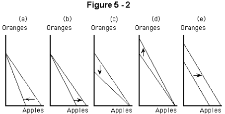 <strong> Which panel in Figure 6-2 shows the combined effects of an increase in the price of oranges and a decrease in the price of apples?</strong> A)panel a B)panel b C)panel c D)panel d E)none of these