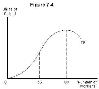 <strong> In Figure 7-4,marginal product of labor is increasing for levels of employment</strong> A)between 0 and 35 workers B)equal to 35 workers C)between 35 and 80 workers D)greater than 80 workers E)none of the above
