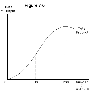   -Consider the total product curve depicted in Figure 7-5.The firm experiences the greatest marginal returns to labor A) when employing more than 200 workers B) when employing between 80 and 200 workers C) when employing 80 workers D) when employing between zero and 80 workers E) at all levels of employment
