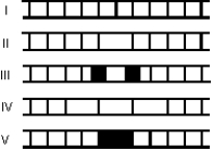 Monochromatic plane waves of light are incident normally on a single slit. Which one of the five figures below correctly shows the diffraction pattern observed on a distant screen?   A)  I B)  II C)  III D)  IV E)  V