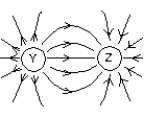 The diagram shows the electric field lines in a region of space containing two small charged spheres (Y and Z) . Then:   A)  Y is negative and Z is positive B)  the magnitude of the electric filed is the same everywhere C)  the electric field is strongest midway between Y and Z D)  Y is positive and Z is negative E)  Y and Z must have the same sign