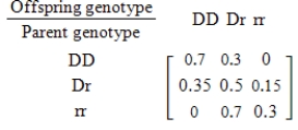 For species that reproduce sexually, characteristics are determined by a gene from each parent. Suppose that for a certain trait there are two possible genes available from each parent: a dominant gene D and a recessive gene r. Then the different gene combinations (called genotypes)  for the offspring are DD, Dr, rD, and rr, where Dr and rD produce the same trait. Suppose further that these genotypes are the states of a Markov chain with the transition matrix given below. If the initial occurrence of those genotypes in the population is 0.1 for DD, 0.2 for Dr, and 0.7 for rr, find the distribution (probability)  of each type of the second generation of offspring. Round all numerical values in your answer to two decimal places. ​   ​ A)    B)    C)    D)    E)   