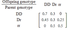 For species that reproduce sexually, characteristics are determined by a gene from each parent. Suppose that for a certain trait there are two possible genes available from each parent: a dominant gene D and a recessive gene r. Then the different gene combinations (called genotypes)  for the offspring are DD, Dr, rD, and rr, where Dr and rD produce the same trait. Suppose further that these genotypes are the states of a Markov chain with the transition matrix given below. Find the steady-state vector for this genotype. Round all numerical values in your answer to two decimal places. ​   ​ A)    B)    C)    D)    E)   