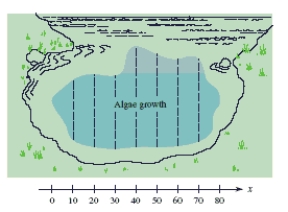 The presence of phosphates in certain waste products dumped into a lake promotes the growth of algae. Rampant growth of algae affects the oxygen supply in the water, so an environmental group wishes to estimate the area of algae growth. Group members measure across the algae growth (see the Figure)  and obtain the following data (in feet) .   Use Simpson's Rule to approximate the area of the algae growth and round your answer to the nearest square foot.   ​ A)  1,110 sq ft B)  1,553 sq ft C)  2,641 sq ft D)  2,019 sq ft E)  3,573 sq ft