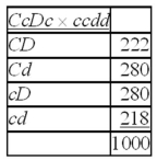 A dihybrid test cross is made between the genes C and D with the following results.Calculate ?<sup>2</sup> to test the hypothesis that the C and D genes are unlinked.