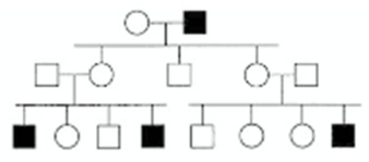 In the following pedigree,the indicated trait is caused by which type of allele? Assume the trait is fully penetrant and that the trait is rare in the population,so that alleles for the trait are not carried by anyone who is not the progeny of a mating shown in the pedigree.   A)  autosomal recessive B)  autosomal dominant C)  X-linked recessive D)  X-linked dominant E)  Y-linked