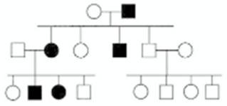In the following pedigree,the indicated trait is caused by which type of allele? Assume the trait is fully penetrant and that the trait is rare in the population,so that alleles for the trait are not carried by anyone who is not the progeny of a mating shown in the pedigree.   A)  autosomal recessive B)  autosomal dominant C)  X-linked recessive D)  X-linked dominant E)  Y-linked