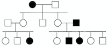 In the following pedigree,the indicated trait is caused by which type of allele? Assume the trait is fully penetrant.   A)  autosomal recessive B)  autosomal dominant C)  X-linked recessive D)  X-linked dominant E)  Y-linked