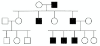 In the following pedigree,the indicated trait is caused by what type of allele? Assume the trait is fully penetrant and that the trait is rare in the population,so that alleles for the trait are not carried by anyone who is not the progeny of a mating shown in the pedigree.   A)  autosomal recessive B)  autosomal dominant C)  X-linked recessive D)  X-linked dominant E)  Y-linked