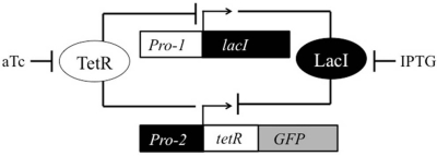Given the functional genetic toggle switch shown,which of the following would result in GFP expression?   A)  treatment with IPTG B)  treatment with aTc C)  treatment with aTc followed by removal of aTc from the system D)  deletion of the Pro-2 promoter E)  deletion of the Pro-2 promoter and deletion of the Pro-1 promoter