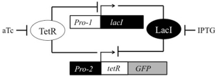 Given the functional genetic toggle switch shown,what would be the result of treatment with both IPTG and aTc?   A)  None of the proteins in the diagram would be expressed. B)  All of the proteins in the diagram would be expressed. C)  Only TetR would be expressed. D)  Only LacI would be expressed. E)  Only GFP would be expressed.