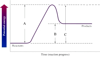 Which region in the following diagram corresponds to the heat of reaction?   A) A B) B C) C