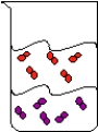 What can you observe in the following beaker?   A) a pure substance in two phases. B) a heterogeneous mixture C) two compounds in the same phase D) a homogeneous mixture