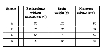 You examine four newly discovered primate species that have the same body size and obtain the following data:    Based on these observations,what can you NOT reasonably infer given what is discussed in the textbook? A) Species B has the second-largest encephalization quotient. B) Species C deals with the lowest levels of social complexity. C) Species D and C have,respectively,the largest and the smallest neocortex ratios. D) Species A has the largest neocortex ratio. E) Species D and B have the same volume of neocortex.