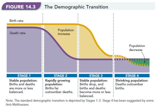   -Figure 14.3, The Demographic Transition  shows stable birth rates and death rates in stage one and stage four. Based on this,which conclusion is correct? A) There will be a population increase in each stage. B) There will be a population decrease in each stage. C) Population will be stable and will neither increase nor decrease. D) Population will be inconsistent and may result in either an increase or decrease.