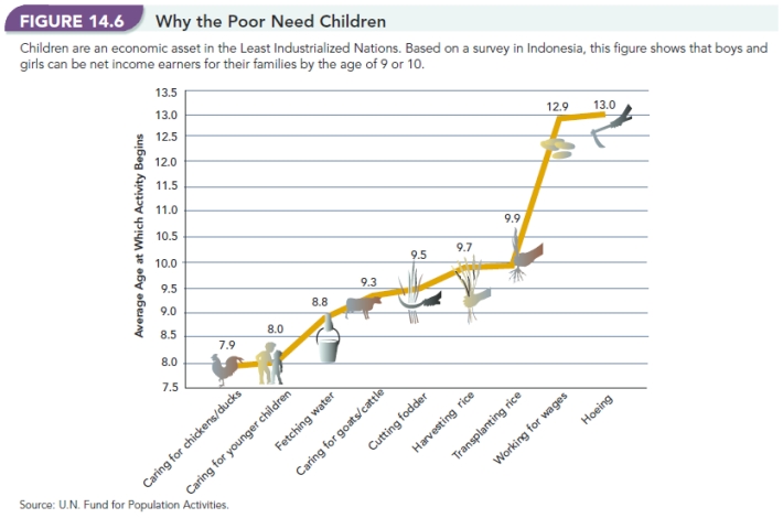   -Based on Figure 14.6, Why the Poor Need Children,  what reasons are given by the author that explain why people in poorer countries have so many children?