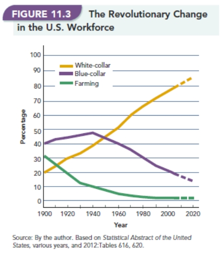   -Figure 11.3  The Revolutionary Change in the U.S. Workforce  shows a steady increase in white-collar jobs related to technology and service,and a decline in blue-collar and farming jobs. Why?