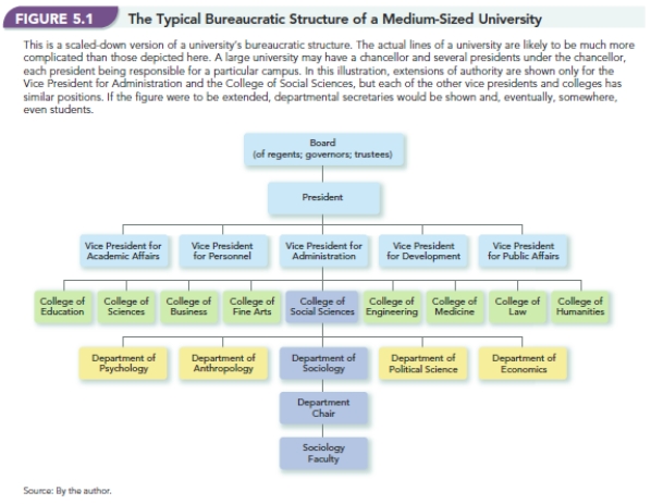   -Using as your model  The Typical Bureaucratic Structure of a Medium-Sized University  as shown in Figure 5.1,construct a similar diagram of the college football team or other sports team.