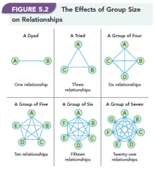   -How does Figure 5.2  The Effects of Group Size on Relationships  effectively demonstrate that the larger a group becomes the more stable it is?