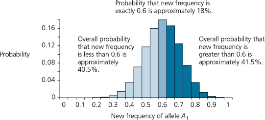 The accompanying figure details the possible outcomes in a scenario in which 10 zygotes are formed from a gene pool where frequency of the allele A1 is 0.6,and A2 is 0.4.This graph is shown here.According to this graph,the probability that the frequency of A1 will remain the same in the next generation is about ________.   A)  8% B)  12% C)  16% D)  18% E)  none of the above