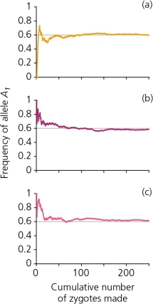 A scenario in which 250 zygotes are formed from a gene pool in which the frequency of the allele A₁ is 0.6,and A₂ is 0.4,generates the accompanying figure.Explain,in general terms,what each of these graphs reveals.Is there a consistent pattern between all three graphs? If so,describe and provide an explanation for it.Are there inconsistencies among graphs? Describe and provide an explanation for these also.
