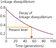 Certain loci that are in linkage disequilibrium with alleles of interest can be used as markers,which can then be useful in reconstructing the history of those alleles in populations.One such marker/allele is described in your text,where the allele in question has an insertion mutation,rendering an enzyme (glucocerebrosidase,or GBA) nonfunctional.The decay curve for linkage disequilibrium between this marker (named D1S305) and the nonfunctional GBA allele is shown in the accompanying figure.The orange lines show the present level of linkage disequilibrium and the inferred number of generations elapsed since the most recent common ancestor.Assuming an average generation time of 25 years,how many years total will be required for the linkage disequilibrium reach 0.2?   A)  about 55 years total B)  about 100 years total C)  about 1000 years total D)  about 2500 years total E)  There is insufficient data to make this determination.