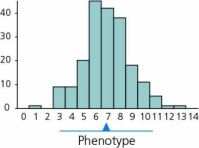 Suppose we consider the figures below.If Figure A represents a measurable trait in a population at time 0,and Figure B represents the same trait some generations later,we can conclude that the type of selection called ________ selection has been at work.         Figure A Figure B