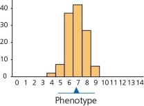 Suppose we consider the figures below.If Figure A represents a measurable trait in a population at time 0,and Figure B represents the same trait some generations later,we can conclude that the type of selection called ________ selection has been at work.         Figure A Figure B