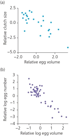 In terms of the size of offspring,data from different (a) fish families and (b) fruit fly species are represented in the accompanying figure.Evaluation of this data reveals that ________.   A)  no relationship between these two variables has been found B)  the larger the number of offspring, the larger the eggs that are produced C)  the larger the number of offspring, the smaller the eggs that are produced D)  there is an apparent trade-off between egg size and number of offspring E)  Both C and D are accurate statements.