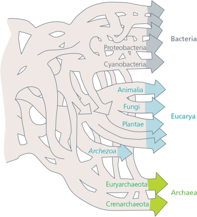 It is now thought that the last common ancestor of the three domains was not a single lineage.Rather,it was ________.   