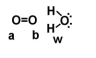 Given the following diagram, describe what happens electronically between these two molecules.   A) Oxygen A becomes slightly positively charged due to the protons on the water molecule. B) Oxygen B becomes slightly positively charged due to the protons on the water molecule. C) Oxygen A becomes slightly negatively charged due to the oxygen molecule. D) Hydrogens on oxygen W becomes slightly positively charged due to the oxygen molecule. E) none of the above