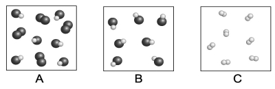 Each circle represents an atom. Which of the following boxes contains an element? A compound? A mixture?   A) element: A, C; compound: A, B, C; mixture: A, B B) element: C; compound: A, B; mixture: B C) element: A, C; compound: A, B; mixture: A D) element: A, C; compound: A, B; mixture: A, B