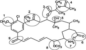 Correctly identify the following functional groups in this organic molecule-amide, ester, ketone, ether, alcohol, aldehyde, amine.   A) 1 = ether, 3 = ester, 6 = aldehyde, 9 = alcohol B) 2 = amide, 4 = ester, 7 = amine, 8 = ether C) 1 = ester, 5 = alcohol, 8 = ether, 9 = ketone D) 2 = amide, 6 = aldehyde, 7 = amine, 8 = ether