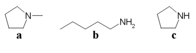 Which of the following compounds is an amine?   A) a B) b C) c D) all of the above E) only b and c