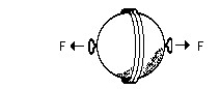 Use the following figure to answer the question:   -It would be easier to pull evacuated Magdeburg hemispheres apart when they are A) held upside down. B) at sea level. C) 20 km beneath the ocean surface. D) 20 km above the ocean surface. E) none of these