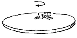 Use the following figure to answer the question:   -Suppose you are at the center of a large freely-rotating horizontal turntable in a carnival funhouse.As you crawl toward the edge,the angular momentum of you and the turntable A) decreases. B) increases. C) remains the same,but the RPMs decrease. D) decreases in direct proportion to your decrease in RPMs. E) none of these
