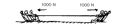 Figure N-4    -Each group in a tug-of-war pulls with 1000 N on each side of the rope. The net force on the rope is A) 0 N B) 500 N C) 1000 N D) 2000 N And the tension within the rope is E) 0 N. F) 500 N. G) 1000 N. H) 2000 N. 