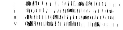 Figure S-2    -If these are sound waves, which corresponds to the highest pitch? A) Wave I. B) Wave II. C) Wave III. D) Wave IV. And which has the greatest wavelength? E) Wave I F) Wave II G) Wave III H) Wave IV I) all have the same wavelength 