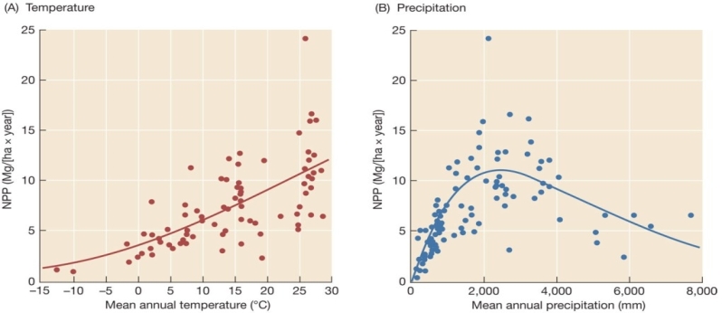 Refer to the graphs below.Briefly explain the difference in the effects of mean annual temperature and mean annual precipitation on NPP,and give one reason for this difference.  