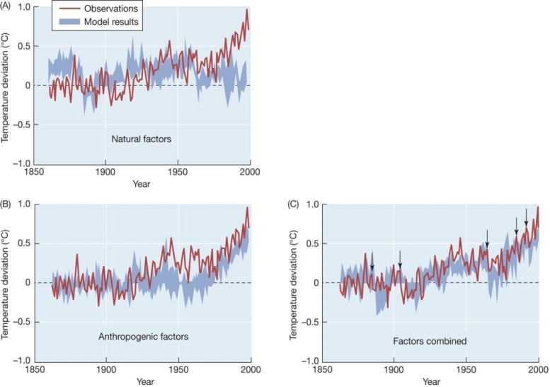Refer to the graphs below representing three computer simulations of Earth's climate between 1850 and 2000.Blue lines represent results of the model;red lines are actual climate data.The graph A model includes only natural factors,such as solar input and volcanic activity.The graph B model includes only human-caused (anthropogenic)factors,such as fossil fuel burning and deforestation.The graph C model includes both natural and anthropogenic factors.Curves are expressed as deviations around 0,which represents the average temperature for the late 1800s.Which graph best fits the actual data? What does a comparison of the three graphs indicate about the causes of global temperature increase?  