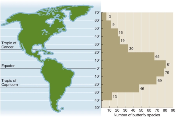 Refer to the figure below.The graph at right shows the number of swallowtail butterfly species at various latitudes,with relative locations shown on the map at left.Using this information,briefly explain the relationship between species richness and latitude,and give at least two possible reasons for this relationship.  