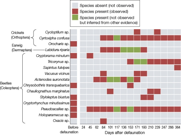 The diagram below shows changes in species composition for the first year after recolonization of mangrove islands that were defaunated (had their arthropod species removed).One hypothesis proposed for recolonization was that every island has a specific set of niches,and recolonization will be complete when the original set of species filling those niches has been reassembled.Do these data support that hypothesis? Why or why not?  
