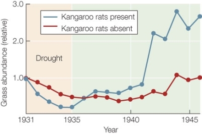 Use the following to answer questions : Refer to the graph below showing the grass abundance in plots with and without the presence of kangaroo rats between 1931 and 1945 at the Santa Rita Experimental Range in southern Arizona.   -If we assume that the presence of the grasses increases rat reproductive rates,what term would best describe the interaction between rats and grasses in 1945? Why?