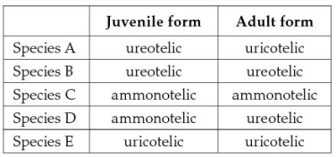 The table below lists the primary mode of nitrogenous waste excretion in the juvenile and adult forms of five different species.If one species is known to be an amphibian and one is a desert reptile,then species _______ is most likely the amphibian and species _______ is most likely the desert reptile.   A)  B;D B)  A;E C)  D;E D)  C;A E)  D;B