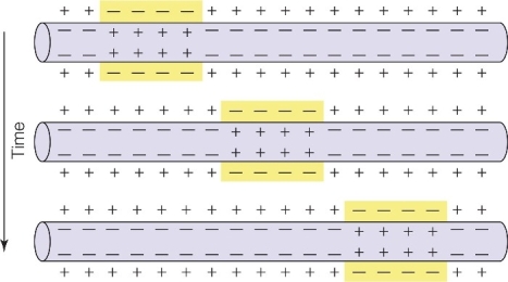 Refer to the diagram below.Name the process occurring and briefly describe how it is occurring.  