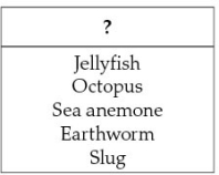 The animals listed in the table below were grouped together because they share certain characteristics.What would be the appropriate heading for this grouping?   A)  Marine Animals B)  Vertebrates C)  Animals with Hydrostatic Skeletons D)  Animals with Exoskeletons E)  Animals Lacking Skeletons