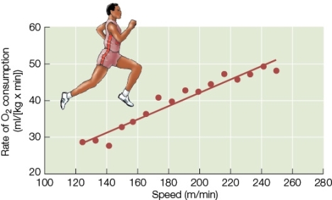 Use the following to answer questions : Refer to the figure below.   -A person weighs 60 kg (~132 lbs) and is running at a speed of 240 meters per minute.If you measured the amount of oxygen consumed in two minutes,you would find that the person had consumed approximately _______ of O<sub>2</sub>.If you performed the same measurement on a person weighing 80 kg (~ 176 lbs) running at the same speed of 240 meters per minute,you would find that the person had consumed approximately _______ of O<sub>2 </sub>in two minutes. A)  50 ml;50 ml B)  100 ml;100 ml C)  3 liters;4 liters D)  6 liters;8 liters E)  12,000 ml;12,000 ml