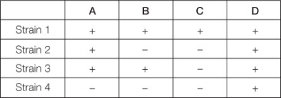 Use the following to answer questions : Suppose that a wild-type bacterium can synthesize substance D,but various mutant strains cannot.We know that substance D is synthesized from substance X in a pathway that involves three intermediate substances (A,B,and C) ,but we do not know the order of the steps in the pathway.Below is a table of four different mutant strains that have been tested for their ability to grow on the various substances.The plus sign means that the strain can grow on that substance;the negative sign means that the strain cannot grow on that substance.   -Suppose that another strain (strain 5) can grow on substance B but cannot grow on substance C.What can we infer from this observation? A)  Strain 5 cannot grow on substance A. B)  Strain 5 cannot grow on substance D. C)  Strain 5 has a defect in the enzyme that converts substance B to substance C. D)  Strain 5 has a defect in the enzyme that converts substance B to substance D. E)  Strain 5 has a defect in the enzyme that converts substance C to substance B.